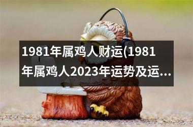 <h3>1981年属鸡人财运(1981年属鸡人2025年运势及运程每月运程)