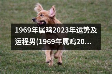 1969年属鸡2025年运势及运程男(1969年属鸡2025年运势及运程男性)