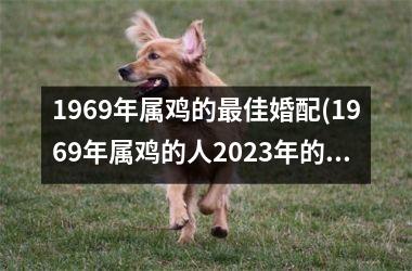 1969年属鸡的最佳婚配(1969年属鸡的人2025年的运势及运程)