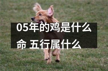 05年的鸡是什么命 五行属什么