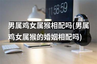 男属鸡女属猴相配吗(男属鸡女属猴的婚姻相配吗)