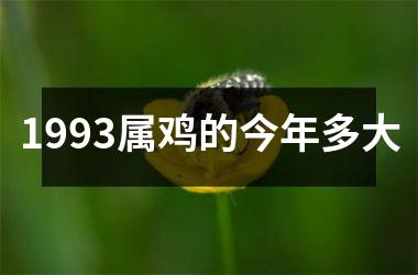 1993属鸡的今年多大
