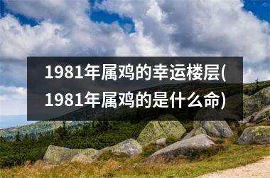 <h3>1981年属鸡的幸运楼层(1981年属鸡的是什么命)