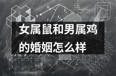 <h3>女属鼠和男属鸡的婚姻怎么样