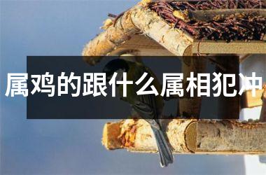 属鸡的跟什么属相犯冲