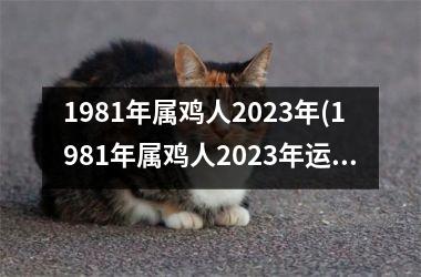 <h3>1981年属鸡人2025年(1981年属鸡人2025年运势及运程每月运程)