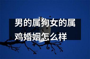 男的属狗女的属鸡婚姻怎么样