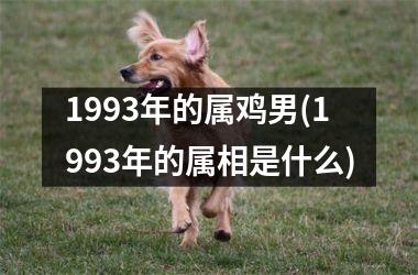 1993年的属鸡男(1993年的属相是什么)