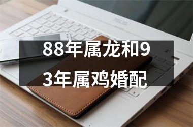 88年属龙和93年属鸡婚配