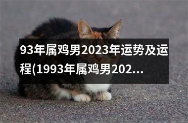 93年属鸡男2023年运势及运程(1993年属鸡男2023年运势及运程)
