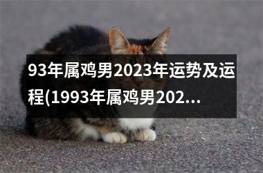 93年属鸡男2025年运势及运程(1993年属鸡男2025年运势及运程)