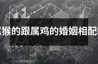属猴的跟属鸡的婚姻相配吗