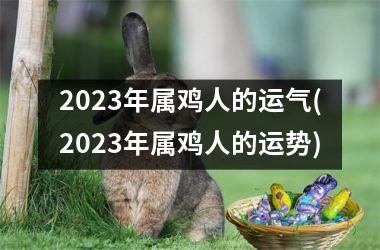 2023年属鸡人的运气(2023年属鸡人的运势)