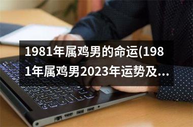 1981年属鸡男的命运(1981年属鸡男2023年运势及运程每月运程)