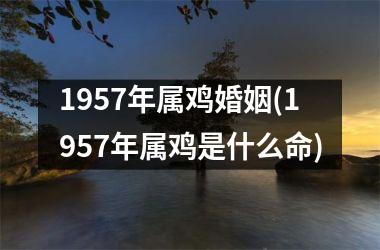 1957年属鸡婚姻(1957年属鸡是什么命)