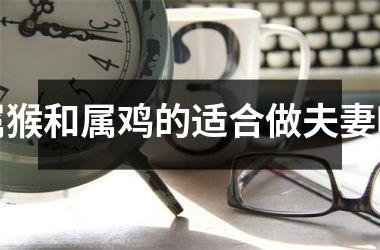 属猴和属鸡的适合做夫妻吗