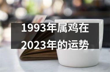 1993年属鸡在2025年的运势