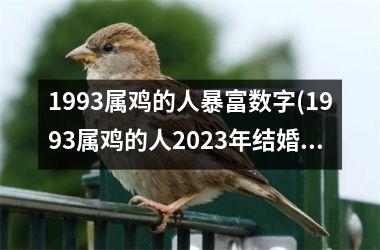1993属鸡的人暴富数字(1993属鸡的人2025年结婚日子)