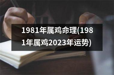 1981年属鸡命理(1981年属鸡2025年运势)