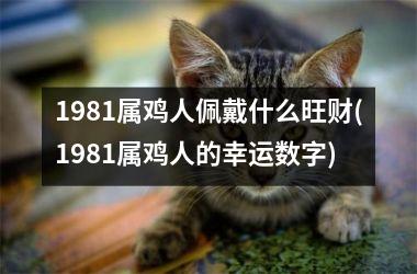 1981属鸡人佩戴什么旺财(1981属鸡人的幸运数字)
