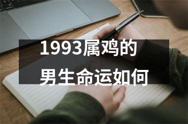 1993属鸡的男生命运如何