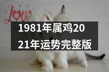 1981年属鸡2025年运势完整版
