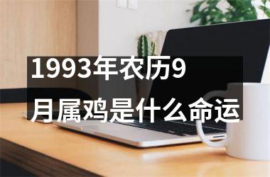 1993年农历9月属鸡是什么命运