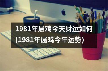 1981年属鸡今天财运如何(1981年属鸡今年运势)