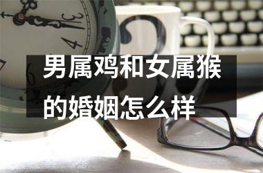 男属鸡和女属猴的婚姻怎么样