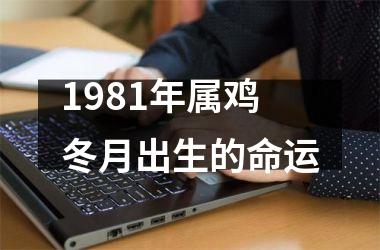 <h3>1981年属鸡冬月出生的命运
