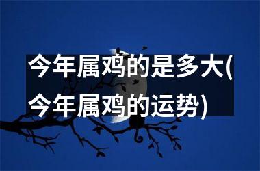 今年属鸡的是多大(今年属鸡的运势)