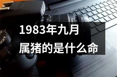 1983年九月属猪的是什么命