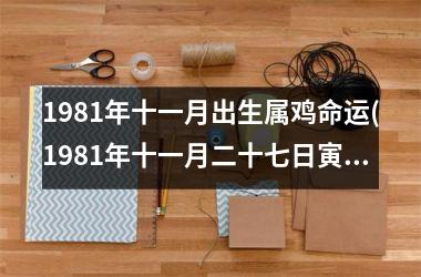 1981年十一月出生属鸡命运(1981年十一月二十七日寅时发生过什么)