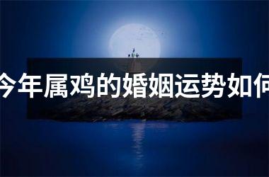 今年属鸡的婚姻运势如何
