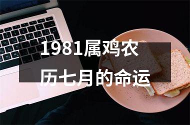 <h3>1981属鸡农历七月的命运
