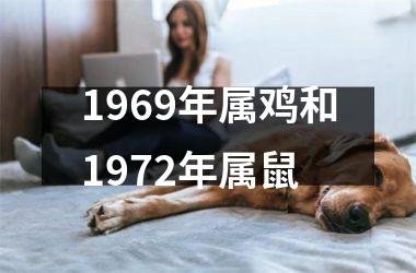 <h3>1969年属鸡和1972年属鼠