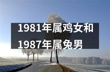 <h3>1981年属鸡女和1987年属兔男