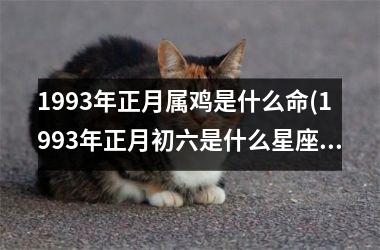 1993年正月属鸡是什么命(1993年正月初六是什么星座)