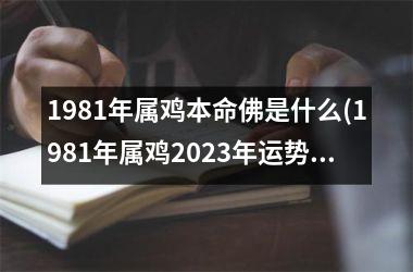 1981年属鸡本命佛是什么(1981年属鸡2025年运势)