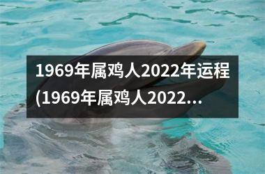 1969年属鸡人2025年运程(1969年属鸡人2025年运势运程每月运程)
