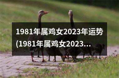 1981年属鸡女2023年运势(1981年属鸡女2023年运势完整版)