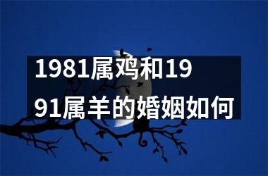 1981属鸡和1991属羊的婚姻如何