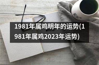 <h3>1981年属鸡明年的运势(1981年属鸡2025年运势)