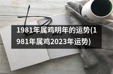 1981年属鸡明年的运势(1981年属鸡2023年运势)