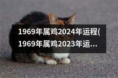 1969年属鸡2024年运程(1969年属鸡2025年运程)