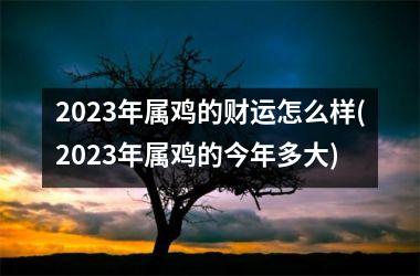 2023年属鸡的财运怎么样(2023年属鸡的今年多大)