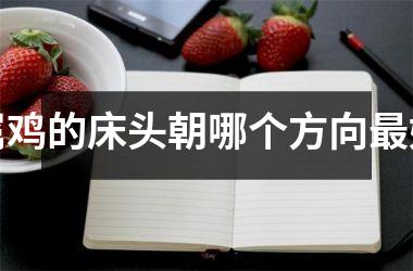 <h3>属鸡的床头朝哪个方向最好