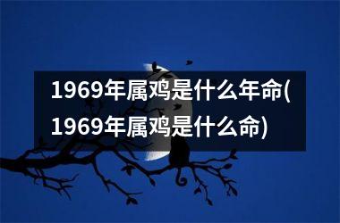 1969年属鸡是什么年命(1969年属鸡是什么命)