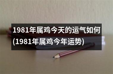1981年属鸡今天的运气如何(1981年属鸡今年运势)