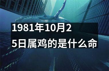 1981年10月25日属鸡的是什么命